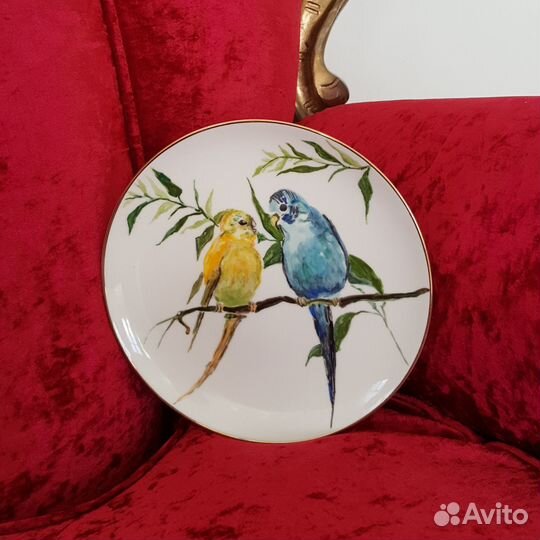 Пара попугайчиков