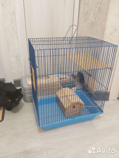 Клетка