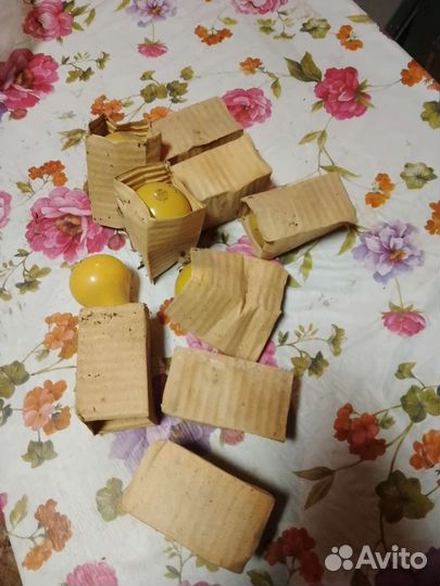 Светомузыка цветомузыка СССР