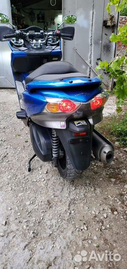 Продам honda forza 250