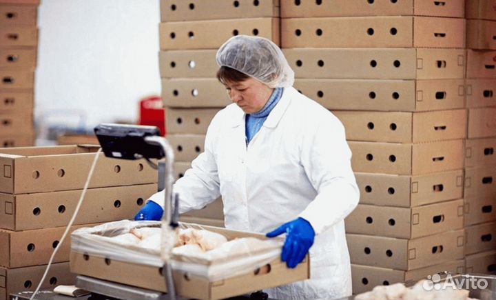 Укладчик Вахта Транспорт