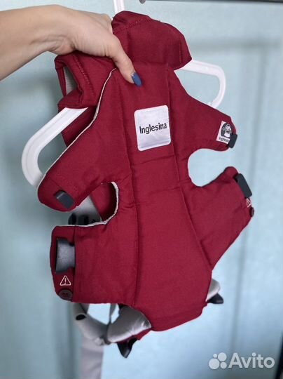 Кенгуру inglesina