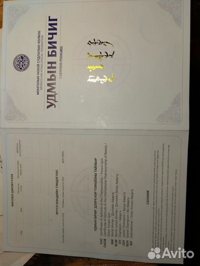 Монгольский Банхар