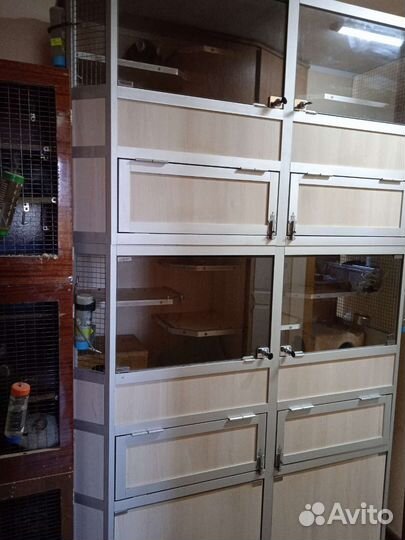 Витрина для шиншилл