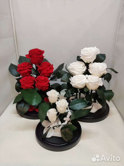 Подарок на новый год / Роза в колбе