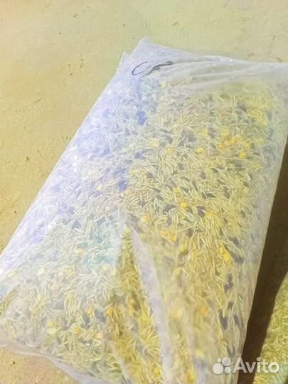 Корм для домашних грызунов и попугаев