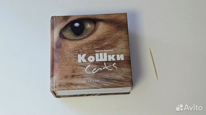 Книга кошки