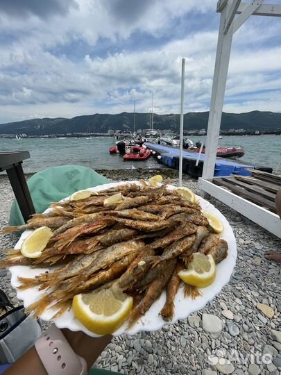 Рыбалка в открытом море
