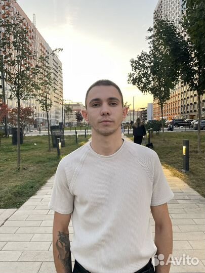 Помощник руководителя