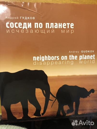 Книга (фотоальбом)