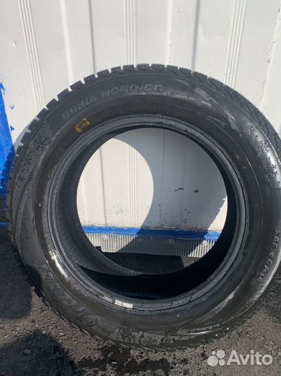 Viatti Bosco Nordico V-523 205/60 R16