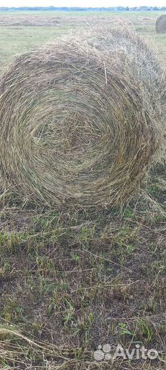 Сено в тюках