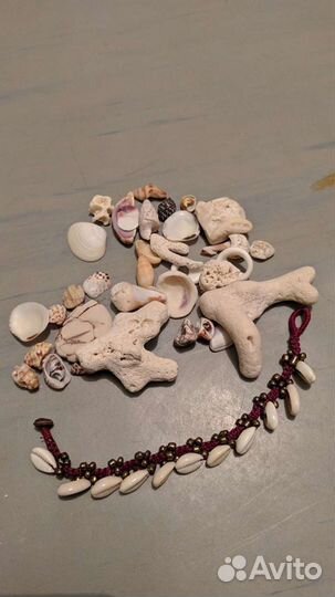 Ракушки настоящие с Тайланда