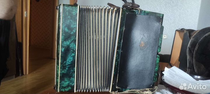 Аккордеон capriole