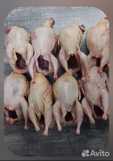 Мясо перепелов