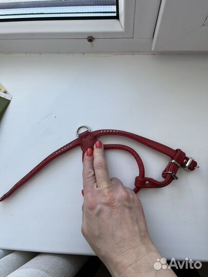 Шлейка когтерез