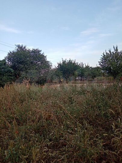 Участок 6 сот. (ИЖС)