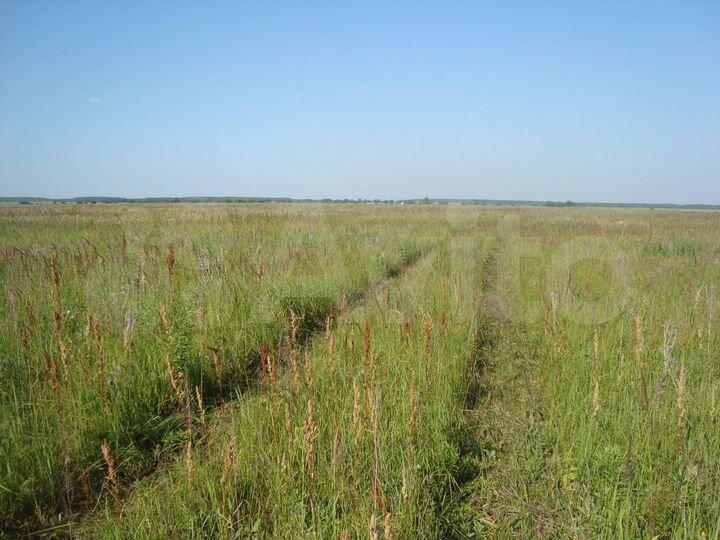 Участок 2,45 га (СНТ, ДНП)