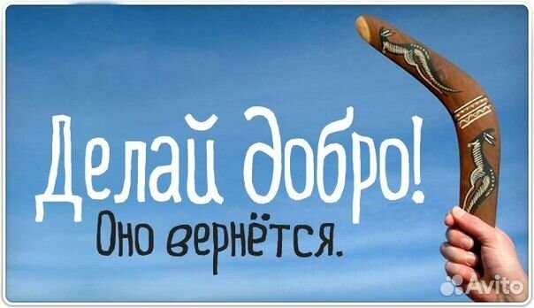 Мастер торгового оборудования