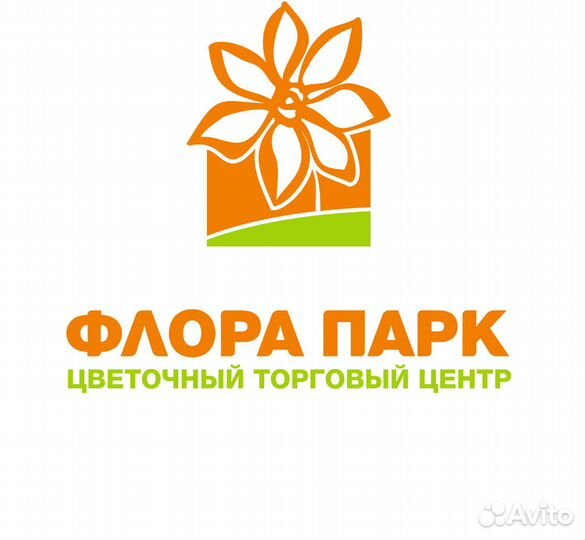 Кассир-товаровед