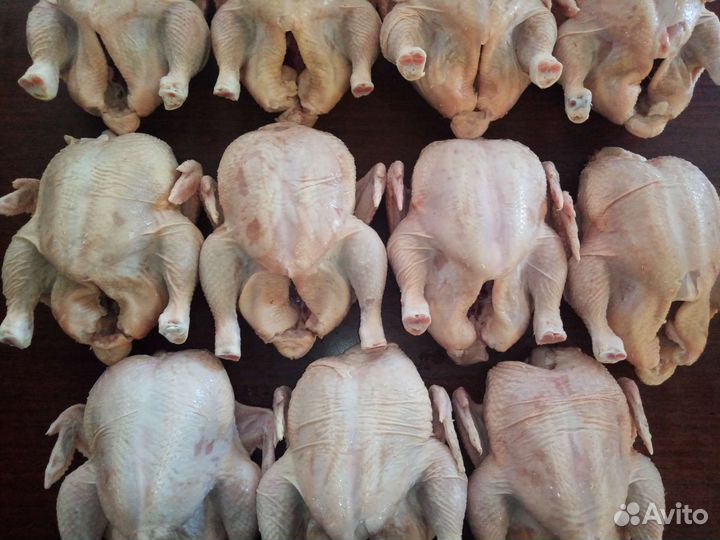Мясо домашнего бройлера