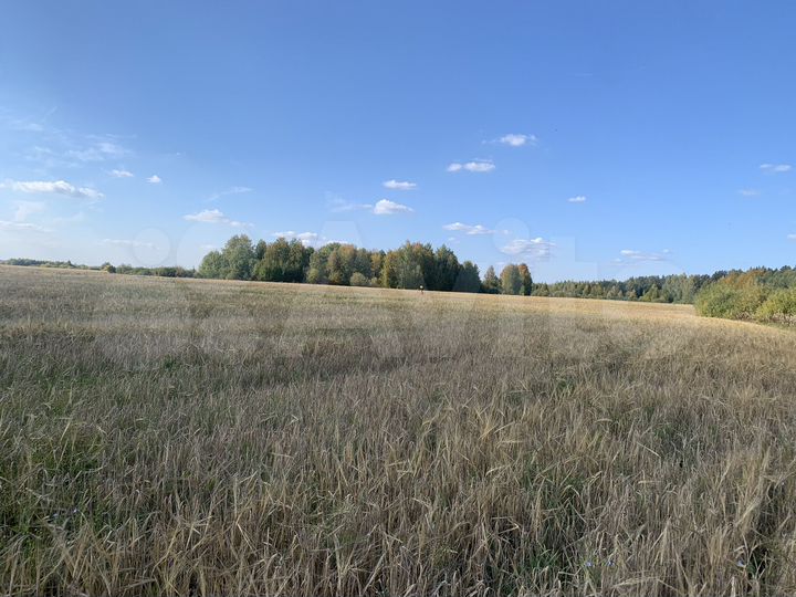 Участок 15,6 га (СНТ, ДНП)