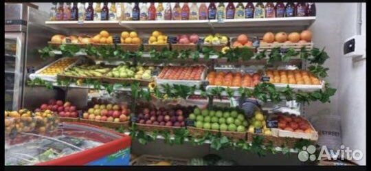 Готовый бизнес овощи, фрукты, закатки