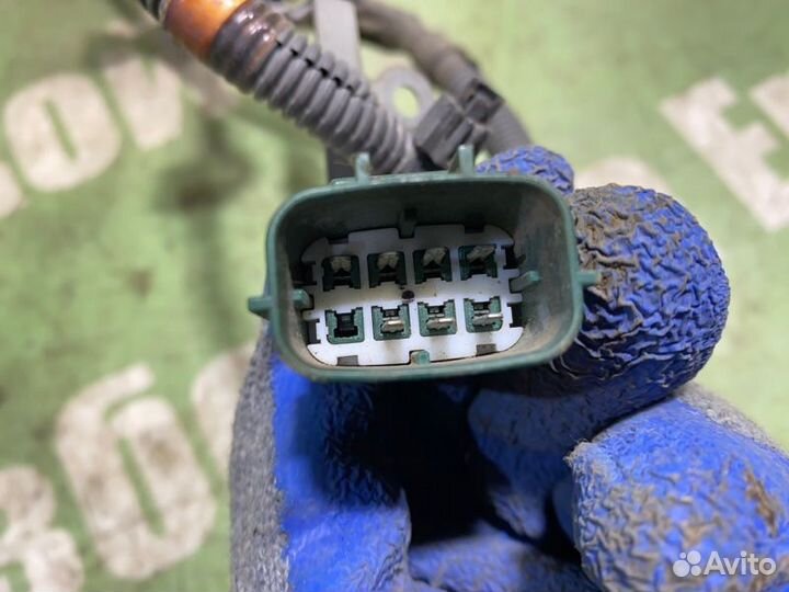 Проводка форсунок Infiniti G35 V35 VQ35DE 2003