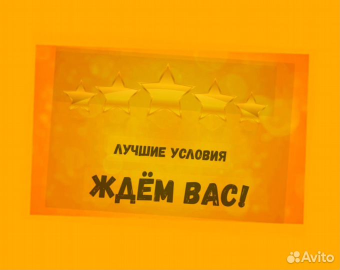 Сборщик заказов Выплаты еженедельно Без опыта М/Ж