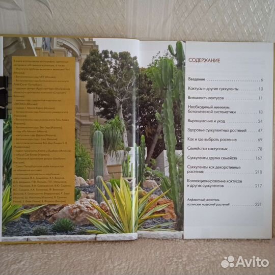 Книги комнатные цветы кактусы