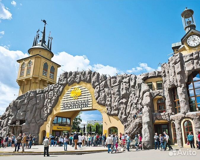 Билет в Зоопарк для живущих не в г. Москва