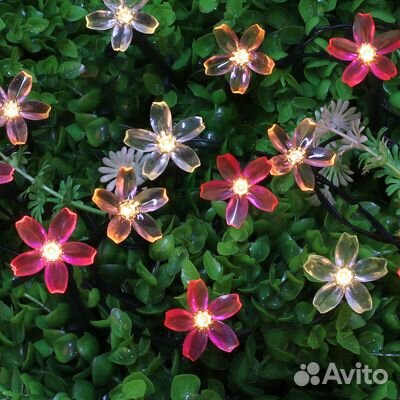 Гирлянда на солн.батарее 25LED,7м,шампань,2 реж.са