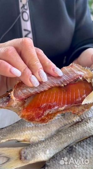 Вобла астраханская (вяленая рыба)