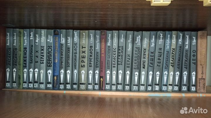 Книги из серии жизнь замечательных людей жзл