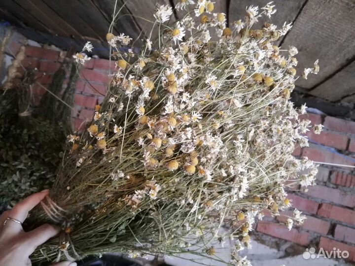 Ромашка сушеная