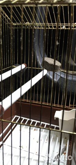Клетка для попугая бу