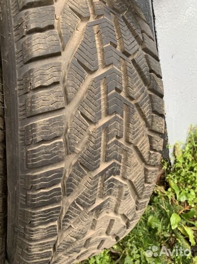 Tigar Winter 225/50 R17 94H