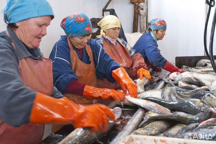 Подсобник разнорабочий / вахта