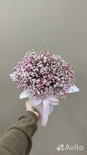 Гипсофила Букеты Анапа Доставка