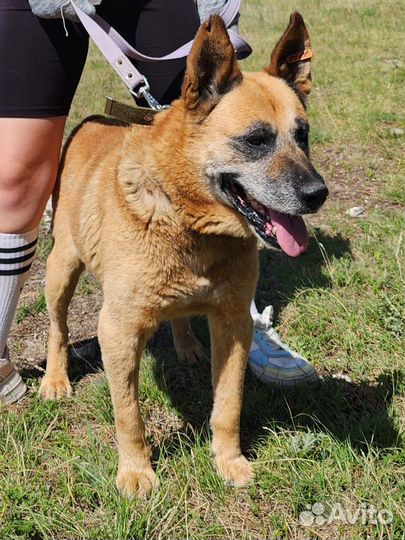 Красавчик Хантер