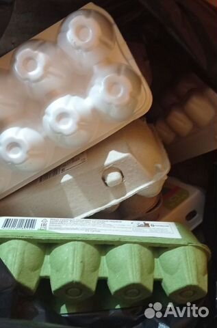 Отдам контейнеры для яиц 10,15 шт. в лотке