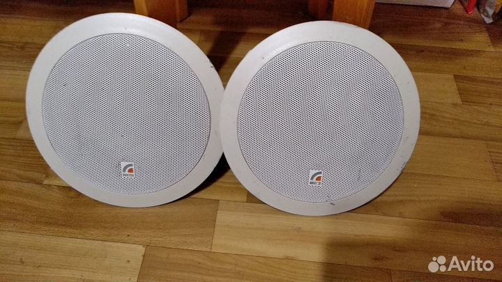 Потолочный Громкоговоритель Roxton PA-620T