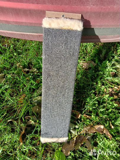 Когтеточка для кошек