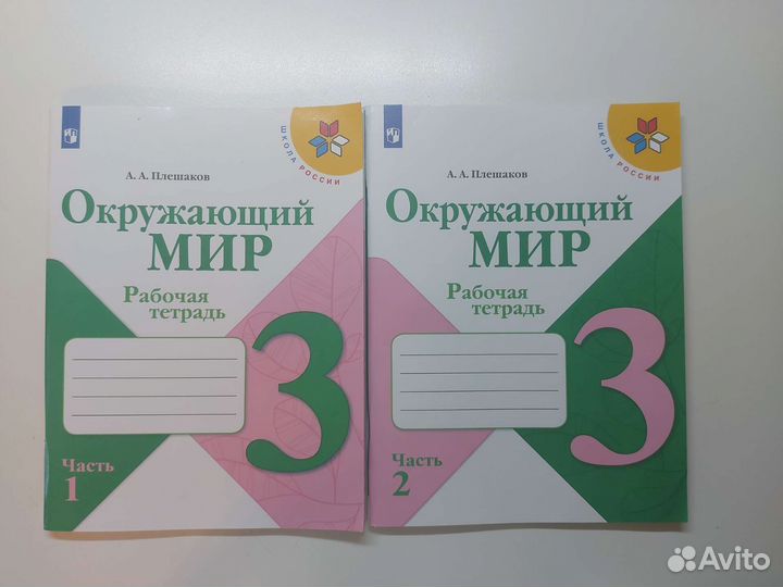 Рабочая тетрадь окружающий мир плешаков 3 класс