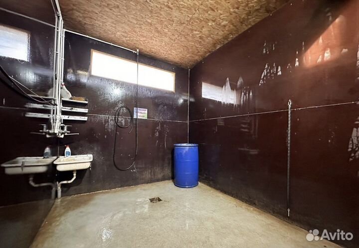 Уход за животными