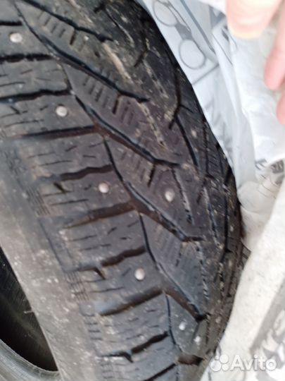 Зимняя резина шипованная