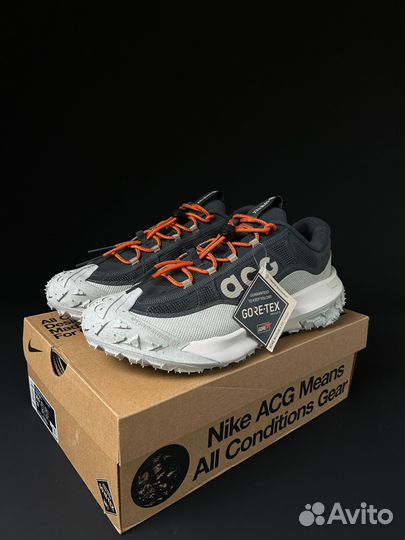 Кроссовки Nike ACG Mountain Fly 2 Low gore-TEX 'Da