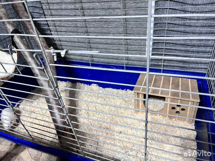 Клетка для грызунов очень большая