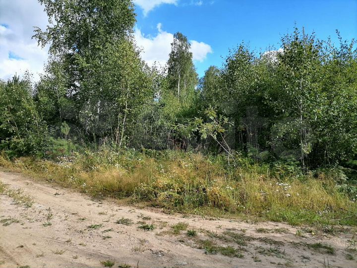 Участок 12 сот. (СНТ, ДНП)