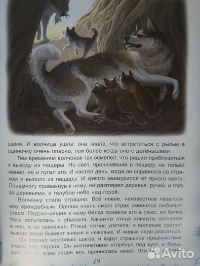 Книга 